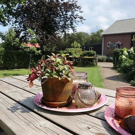 Hébergement de vacances Op De Beemd