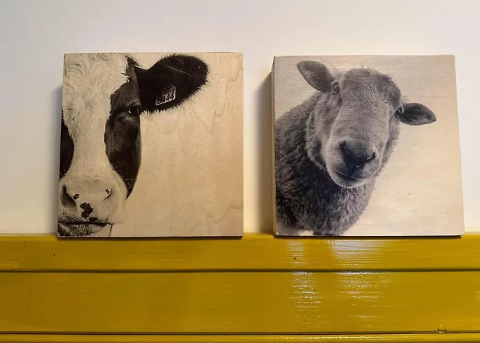 Nyaraló Op De Beemd Zeeland