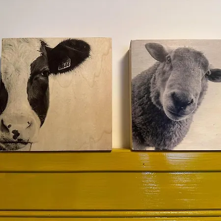 度假居 Op De Beemd 泽兰省